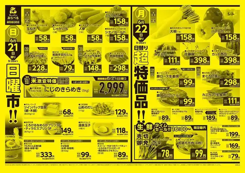 main_flyer image