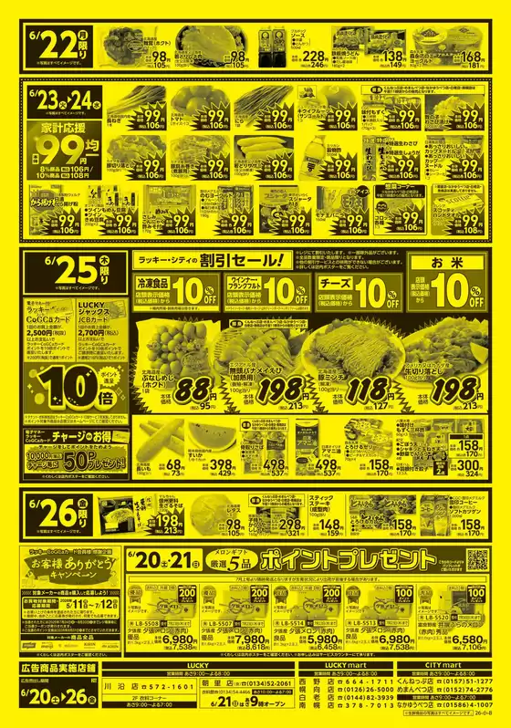 main_flyer image