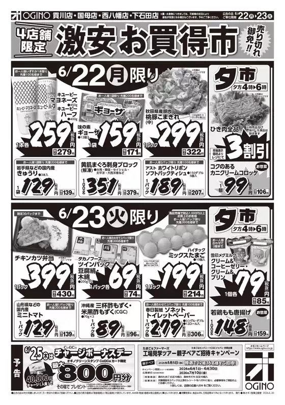 main_flyer image