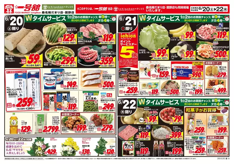 main_flyer image
