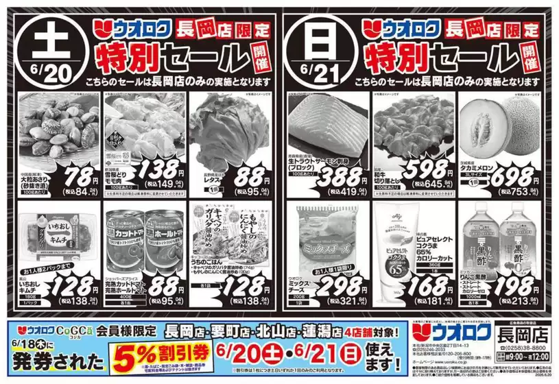 main_flyer image