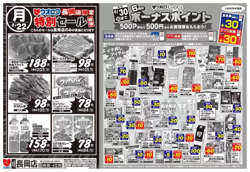 ウオロクのカタログ | トップディールと割引 | 2026-06-22T00:00:00.000Z - 2026-06-30T00:00:00.000Z