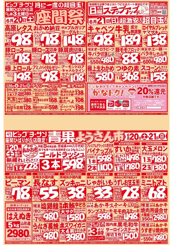 ビッグヨーサンのカタログ | 選ばれた製品の素晴らしい割引 | 2026-06-20T00:00:00.000Z - 2026-06-21T00:00:00.000Z