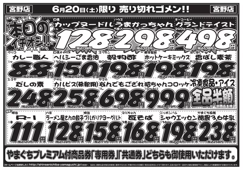 main_flyer image
