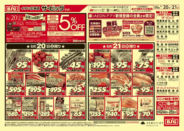 ザ・ビッグのカタログ | ザ・ビッグ チラシ | 2026-06-19T00:00:00.000Z - 2026-06-23T00:00:00.000Z