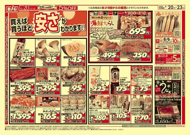 main_flyer image