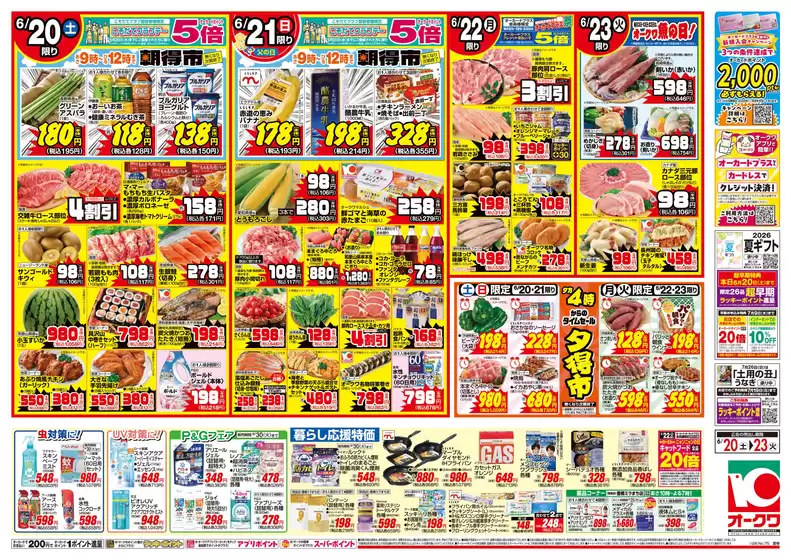 main_flyer image