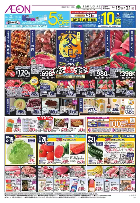 main_flyer image