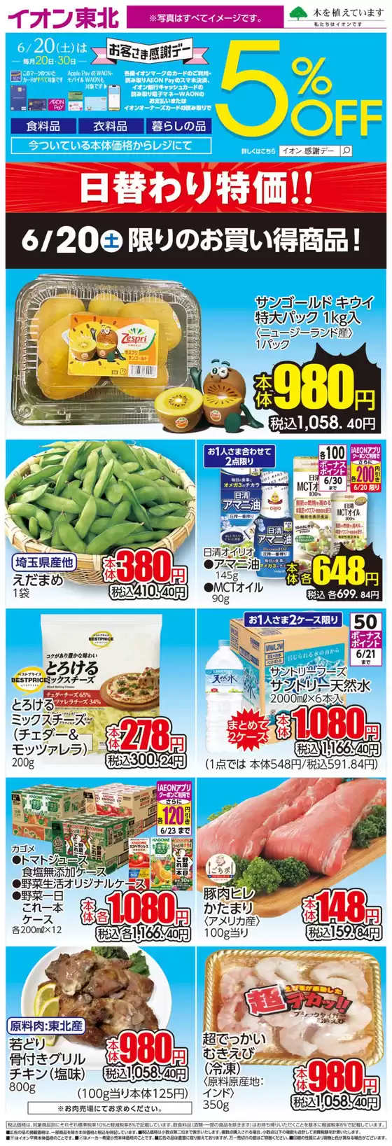 main_flyer image