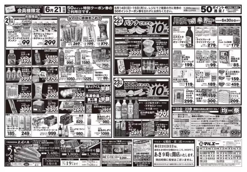 main_flyer image