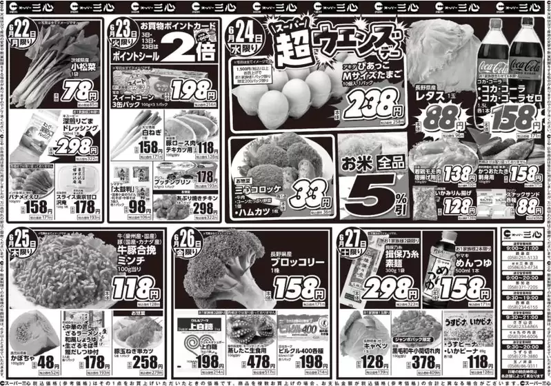main_flyer image