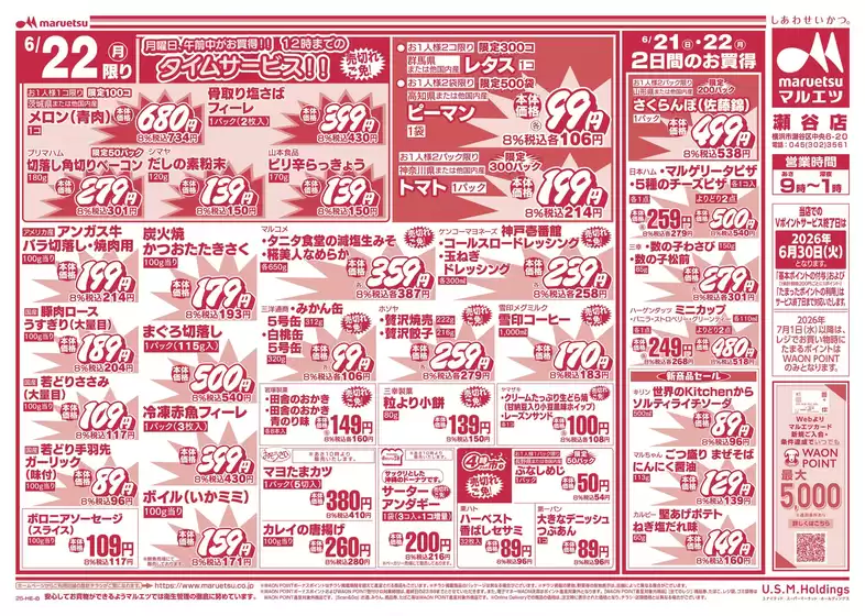main_flyer image