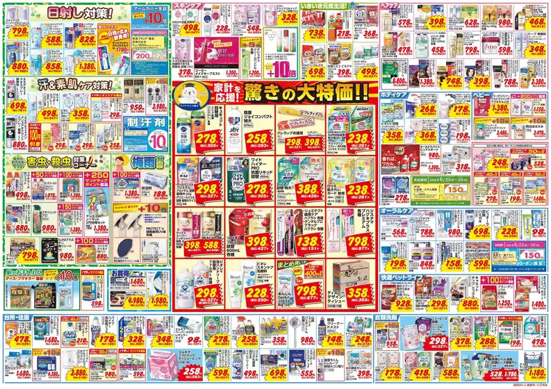 main_flyer image
