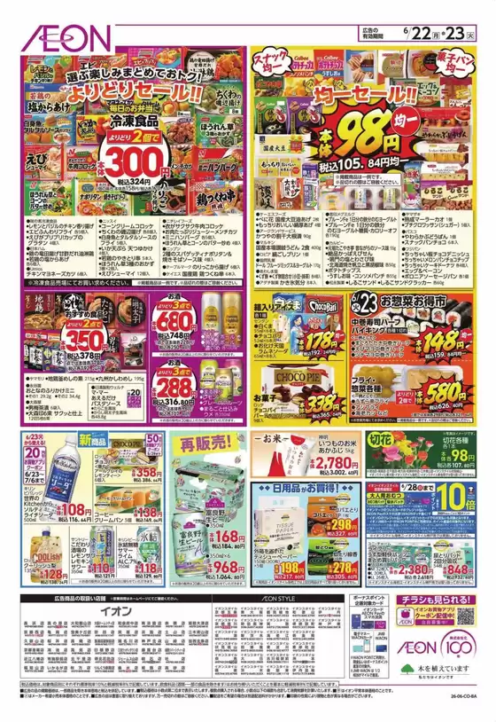 main_flyer image