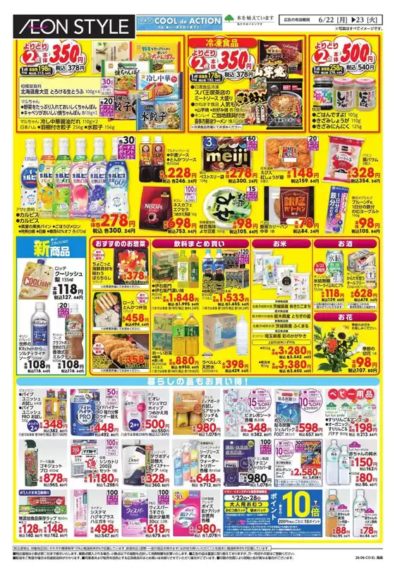 main_flyer image