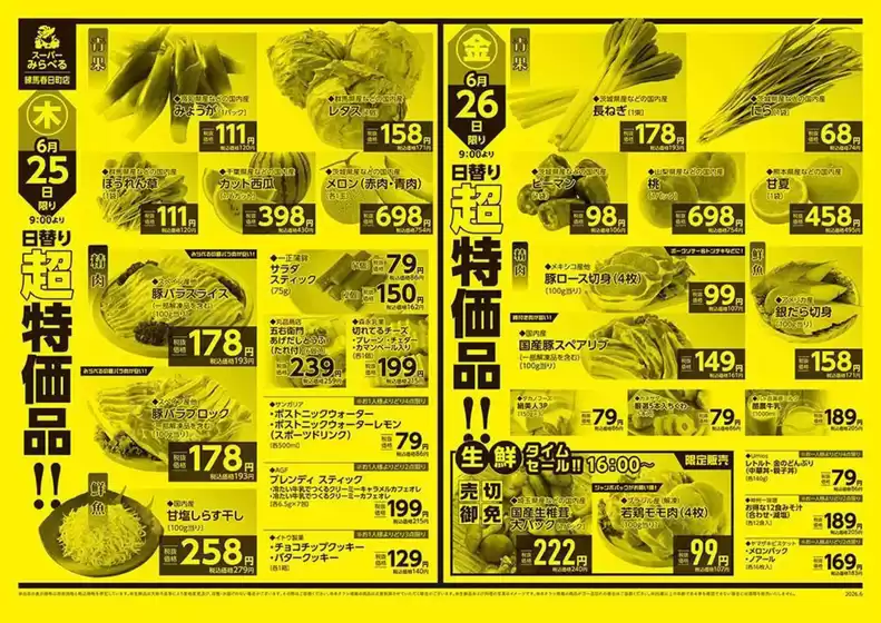 main_flyer image