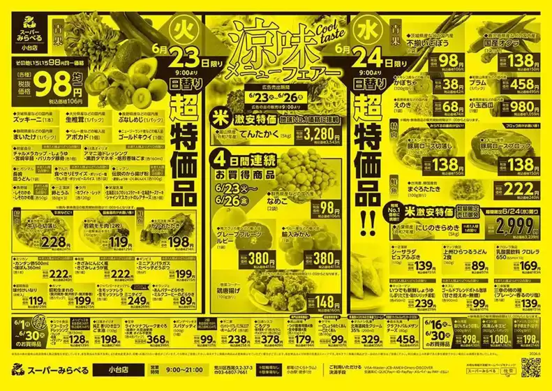 main_flyer image