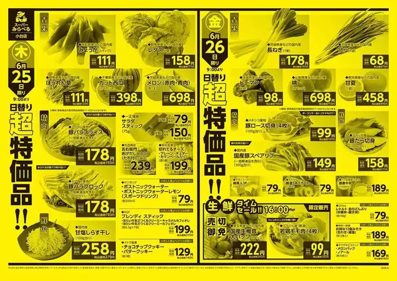 main_flyer image