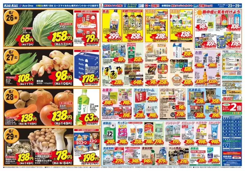 main_flyer image