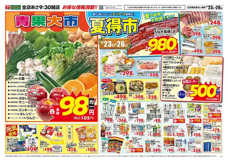 main_flyer image