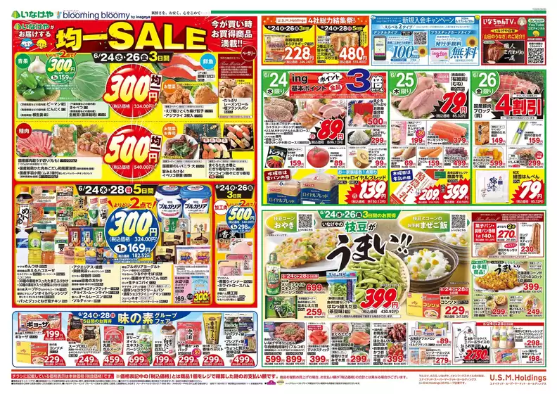 main_flyer image