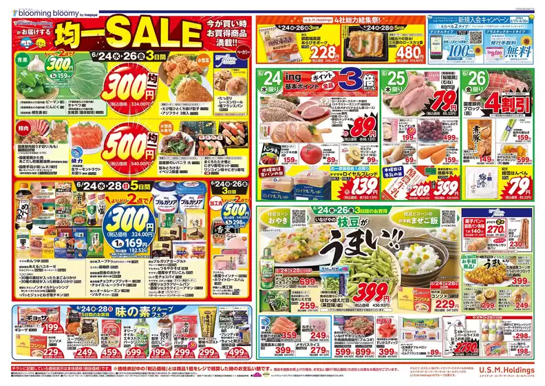 入間市でのいなげやのカタログ | すべてのお客様のための素晴らしいオファー | 2026-06-24T00:00:00.000Z - 2026-06-30T00:00:00.000Z