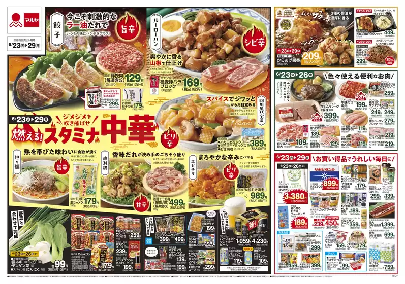 main_flyer image