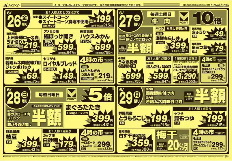 main_flyer image
