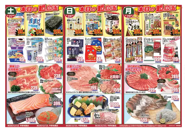 main_flyer image