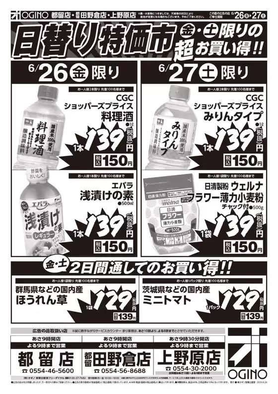 main_flyer image
