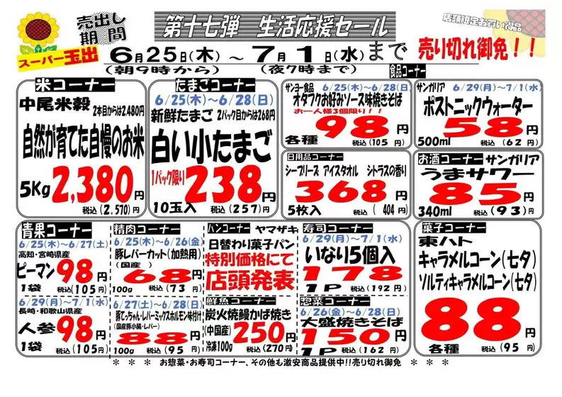 main_flyer image