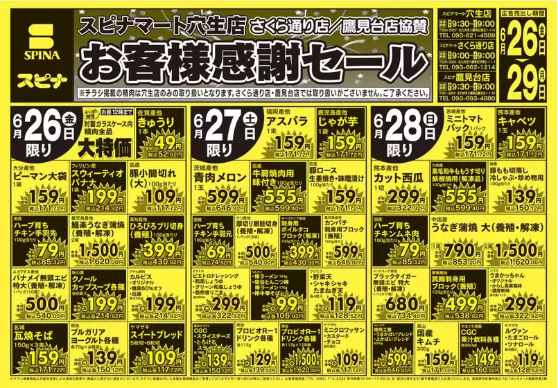 スピナのカタログ | 私たちの最高の掘り出し物 | 2026-06-26T00:00:00.000Z - 2026-06-29T00:00:00.000Z