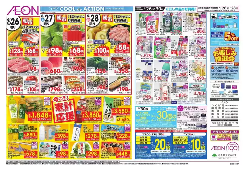 main_flyer image