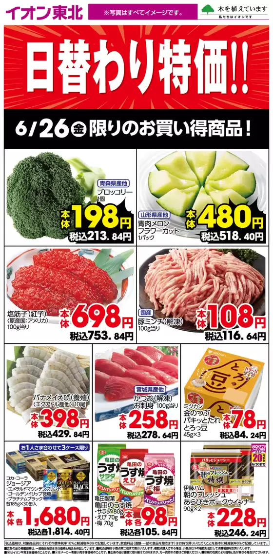 main_flyer image