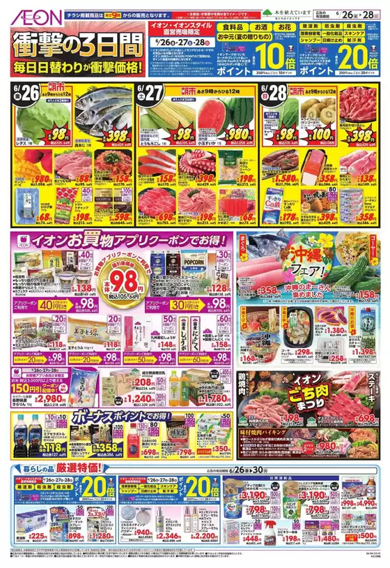 main_flyer image