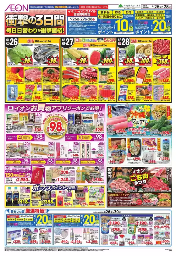 main_flyer image