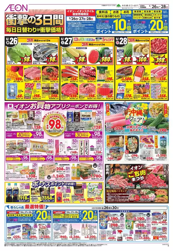 main_flyer image