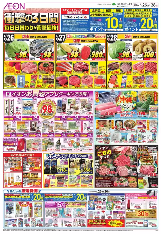 main_flyer image
