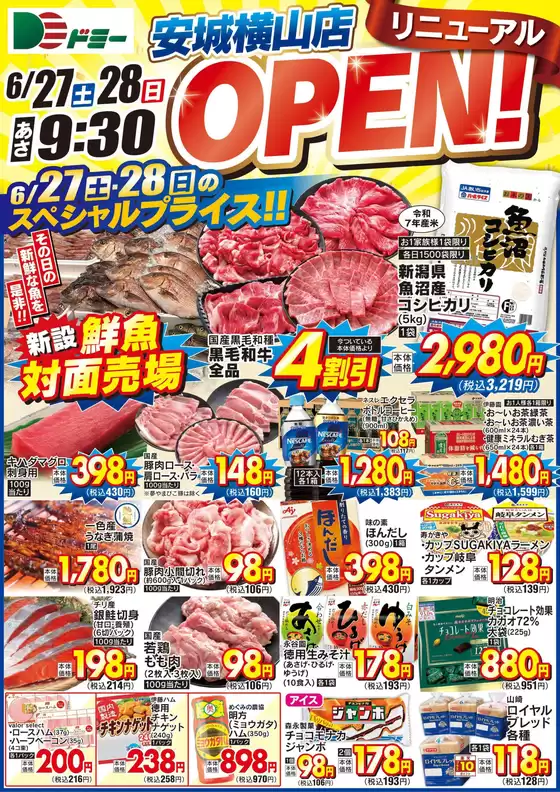 ドミーのカタログ | 豊富なオファーの選択 | 2026-06-27T00:00:00.000Z - 2026-06-28T00:00:00.000Z