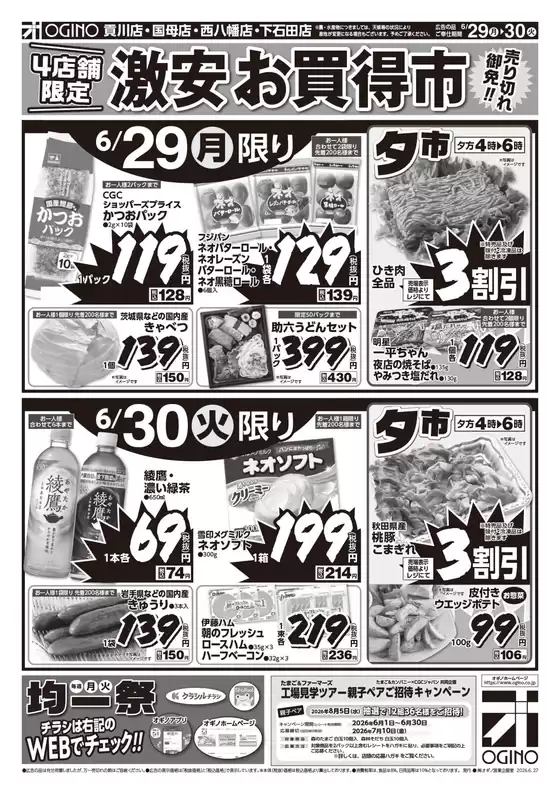 main_flyer image