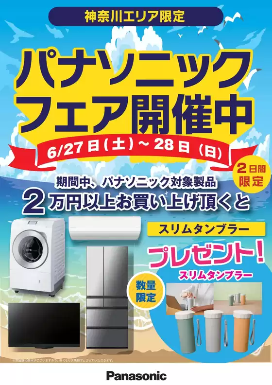 main_flyer image