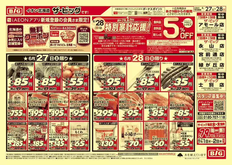ザ・ビッグのカタログ | トップディールと割引 | 2026-06-26T00:00:00.000Z - 2026-06-29T00:00:00.000Z