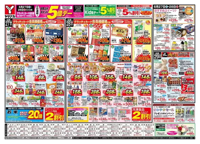 main_flyer image