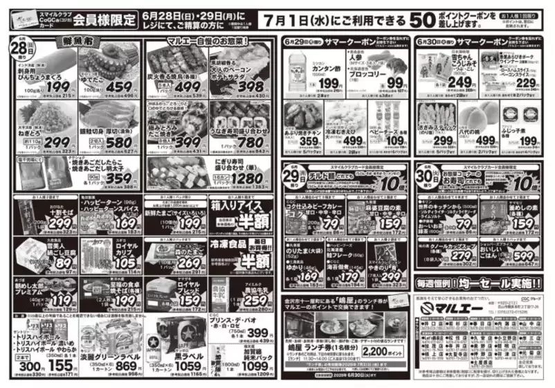 main_flyer image