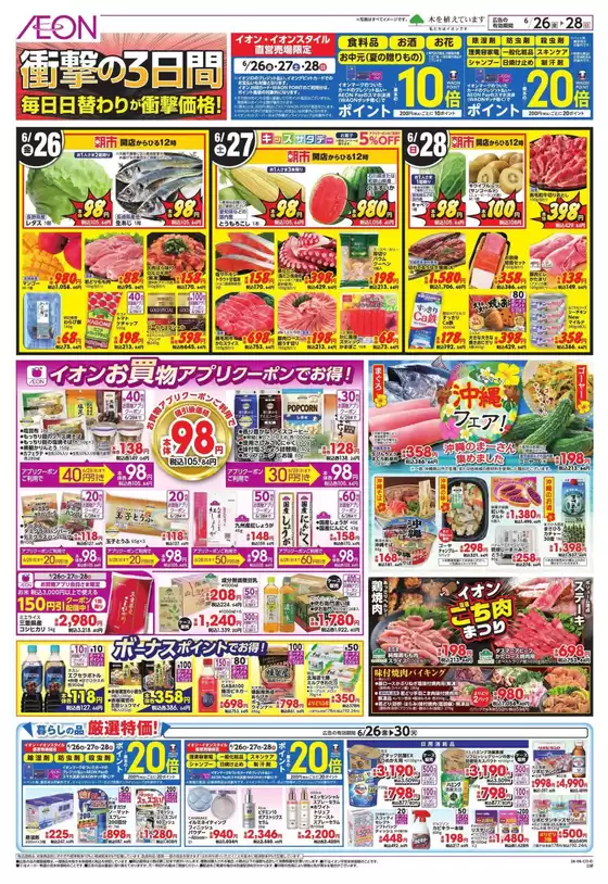 main_flyer image
