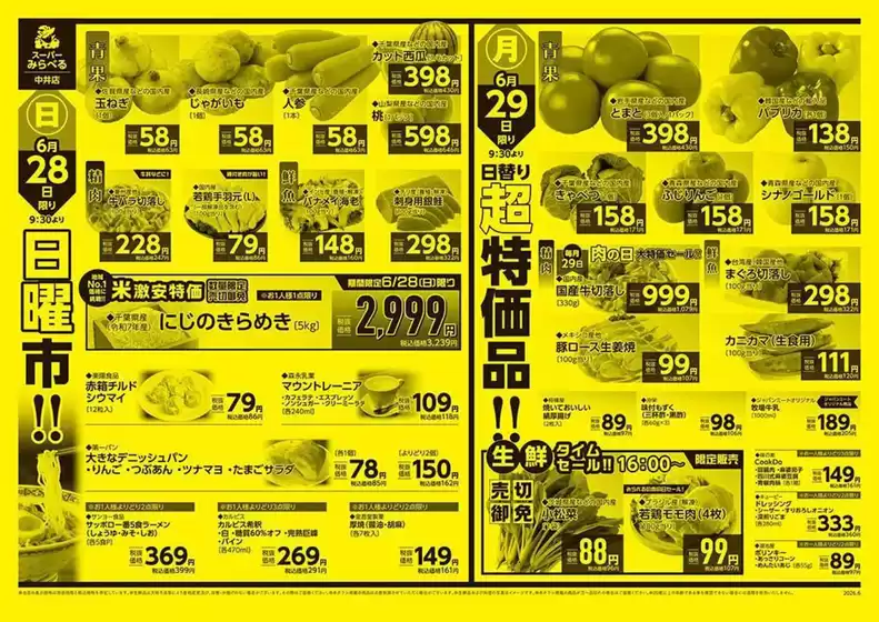 main_flyer image