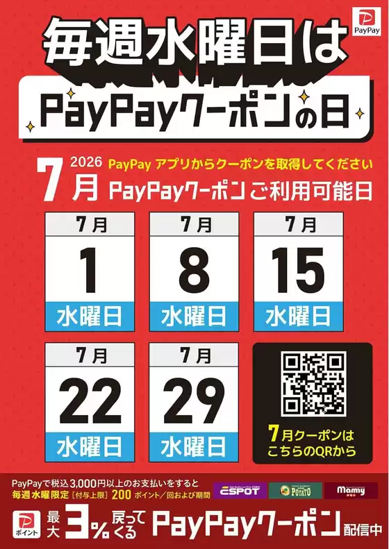 main_flyer image