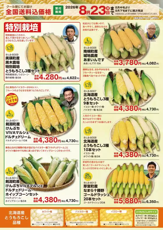 main_flyer image