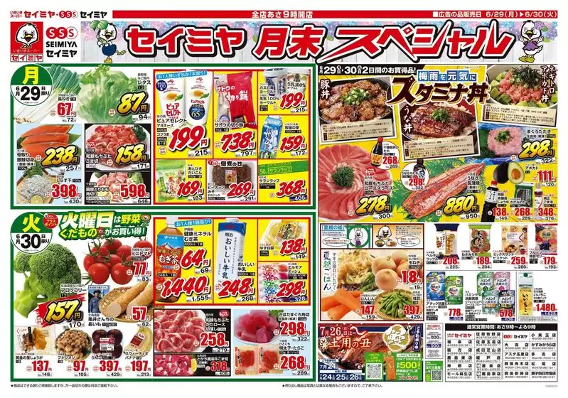 main_flyer image