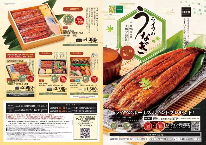 main_flyer image